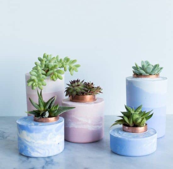 des pots a cactus pour un cadeau romantique