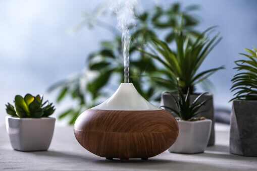 humidificateur d_air sur une table avec des plantes à côtés