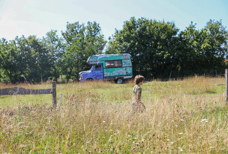 Potage et Nature : une ode à la permaculture au coeur de la Bretagne