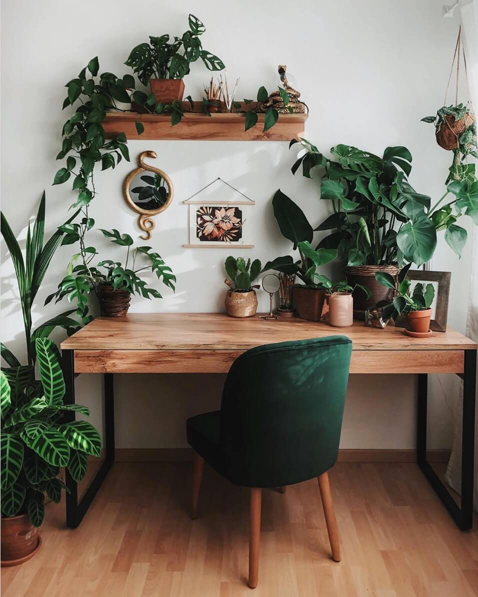 bureau en bois avec chaise velours vert et plusieurs plantes - Comment aménager un coin bureau efficace à la maison ?