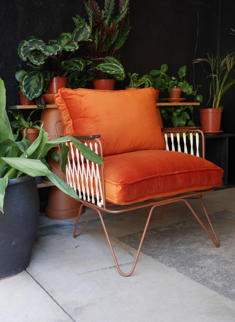 fauteuil lounge devant jungle de plantes vertes mur noir - Tendances meubles et décoration 2021 : le grand décryptage