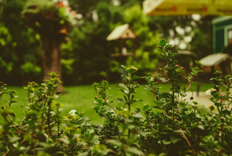 Quelques astuces pour bien aménager son jardin