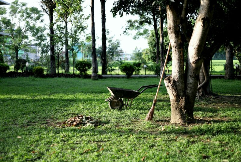 Comment aménager et préparer son jardin à l'arrivée du printemps