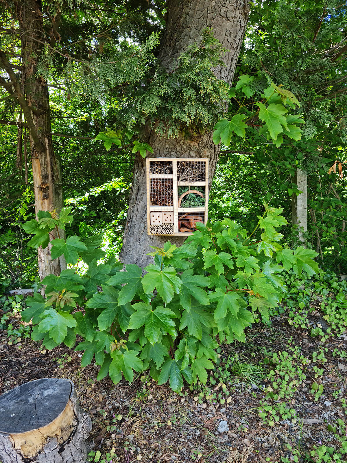 un hôtel à insectes fabriqué à la main fixé sur un arbre