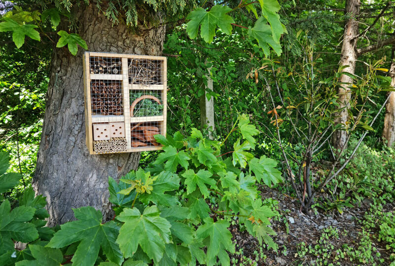 DIY jardin : construire un hôtel à insectes avec une caisse à vin