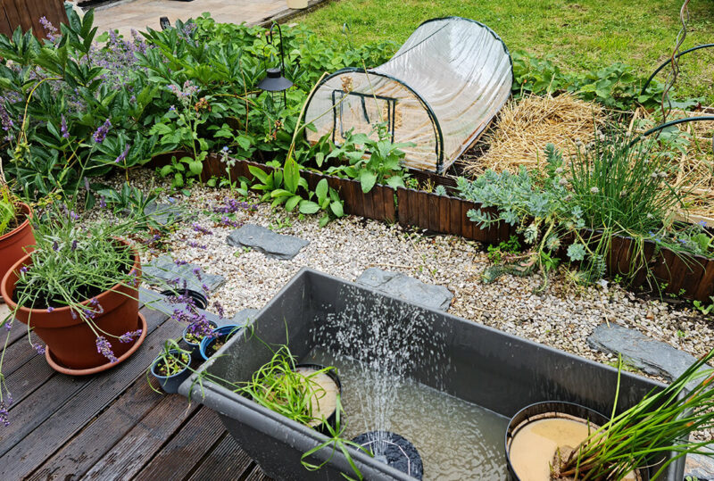 Créer un bassin apaisant avec une fontaine dans le jardin