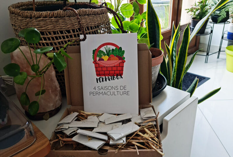 Mes astuces pour se lancer dans un potager perpétuel avec Permabox