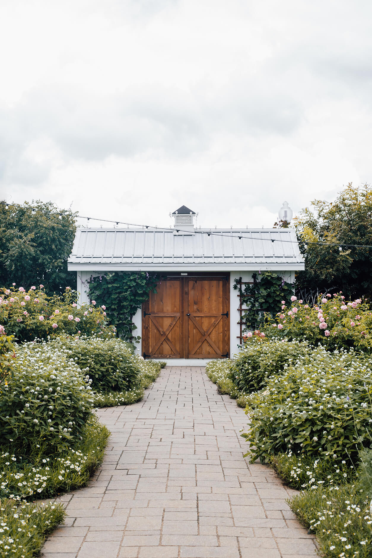 Comment embellir son jardin et le rendre agréable à vivre ? annie shelmerdine oTH0rBJi86k unsplash 2 - Comment embellir son jardin et le rendre agréable à vivre ?