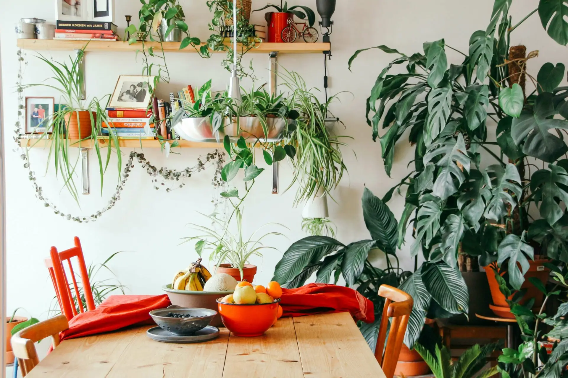 tables et chaises dans une salle à manger au style jungle